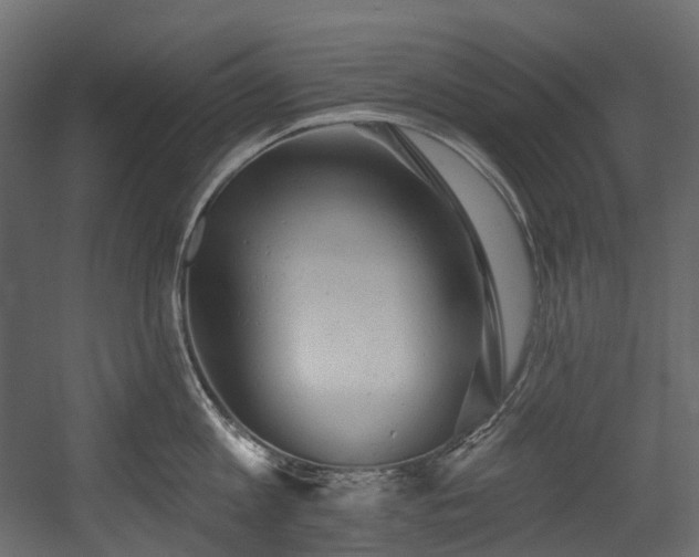X0000054360813200508011219