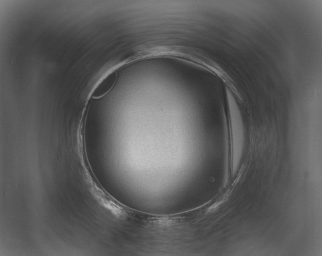 X0000054360814200508011219