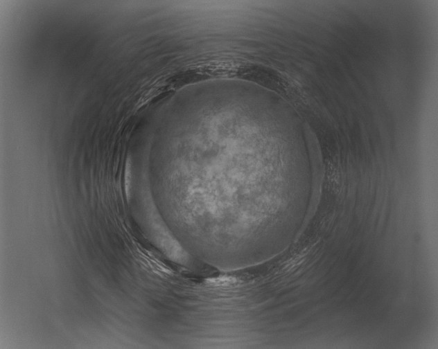 X0000054360818200508011218