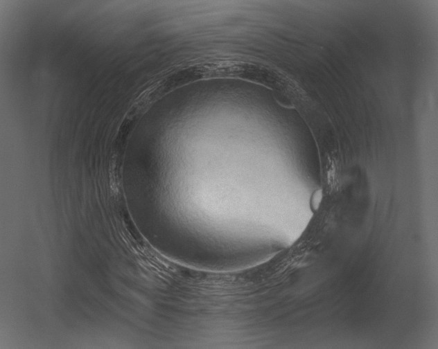 X0000054360819200508011218