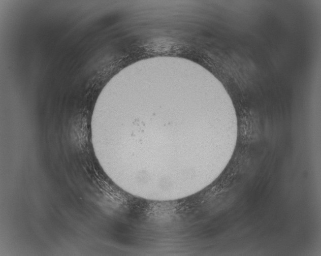 X0000054360820200508011218