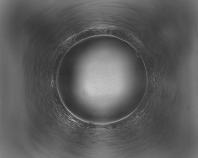 X0000054360821200508011218