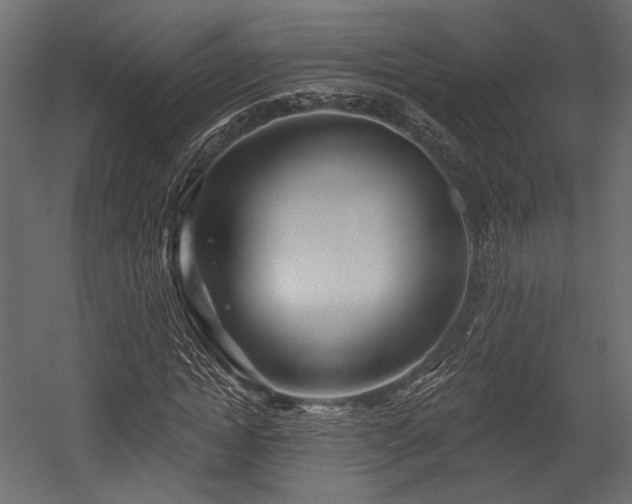X0000054360822200508011218