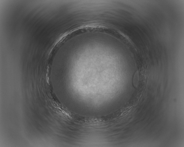 X0000054360823200508011218