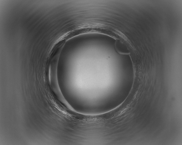 X0000054360826200508011218