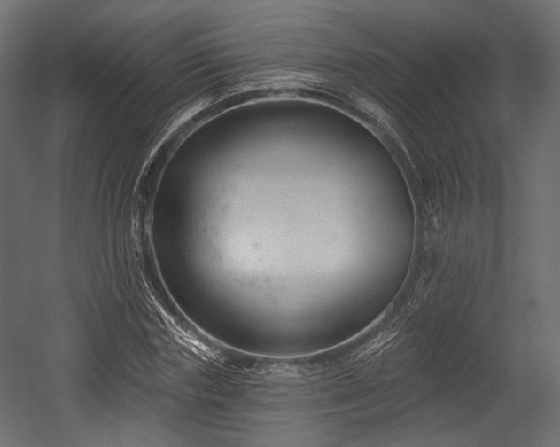 X0000054360827200508011218