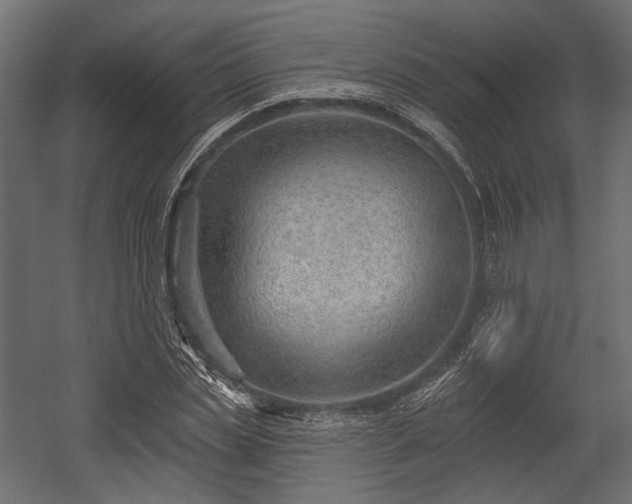 X0000054360829200508011218