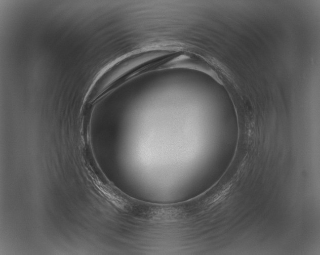 X0000054360830200508011218