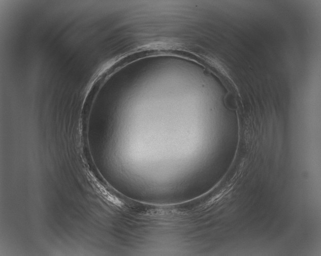 X0000054360831200508011218