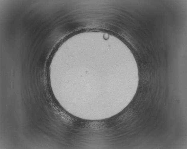 X0000054360832200508011218