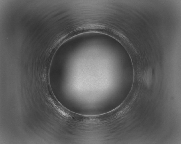 X0000054360833200508011218