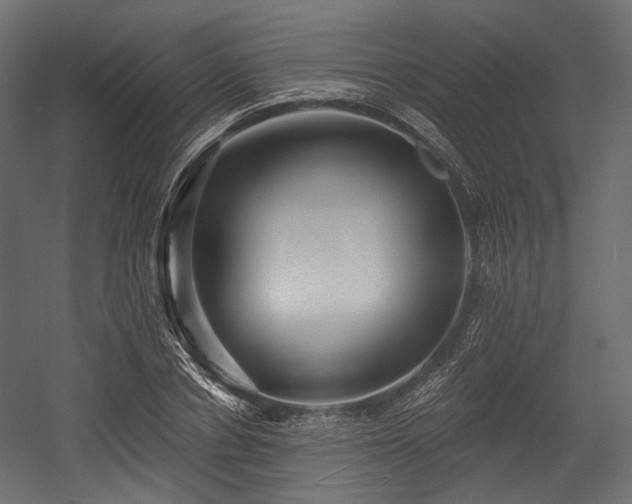 X0000054360834200508011218
