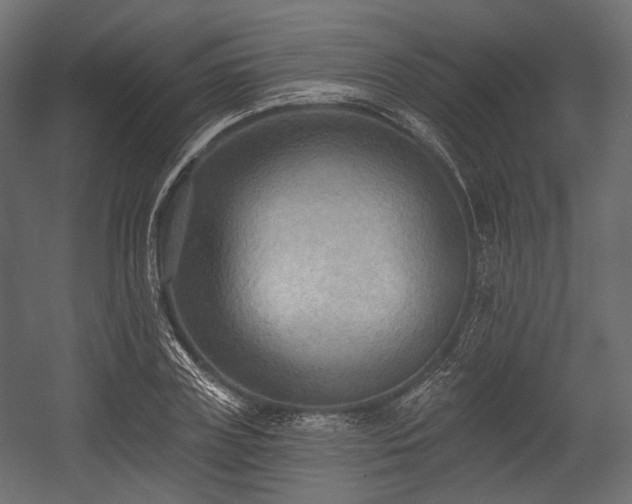 X0000054360835200508011218