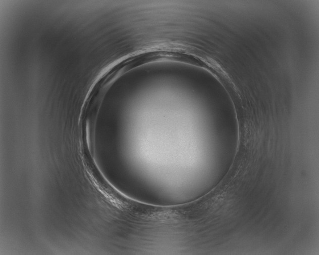X0000054360838200508011218