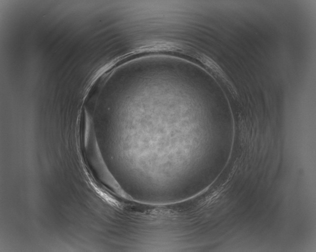 X0000054360842200508011218