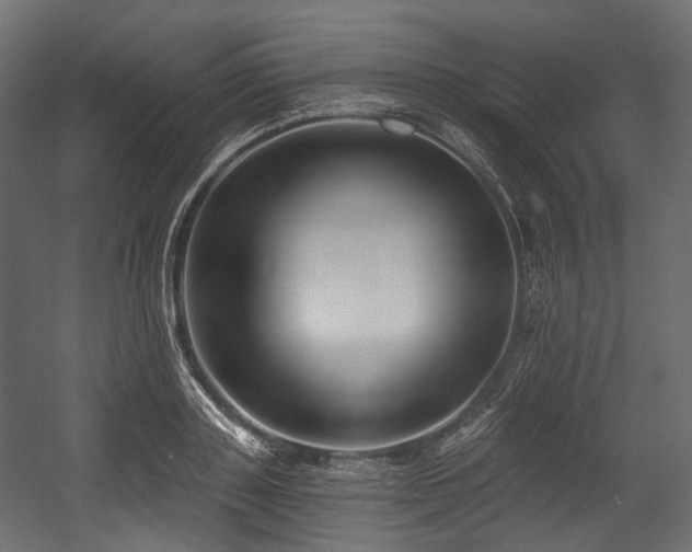 X0000054360843200508011218
