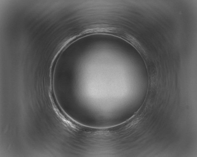 X0000054360844200508011218