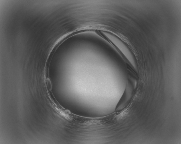X0000054360846200508011218