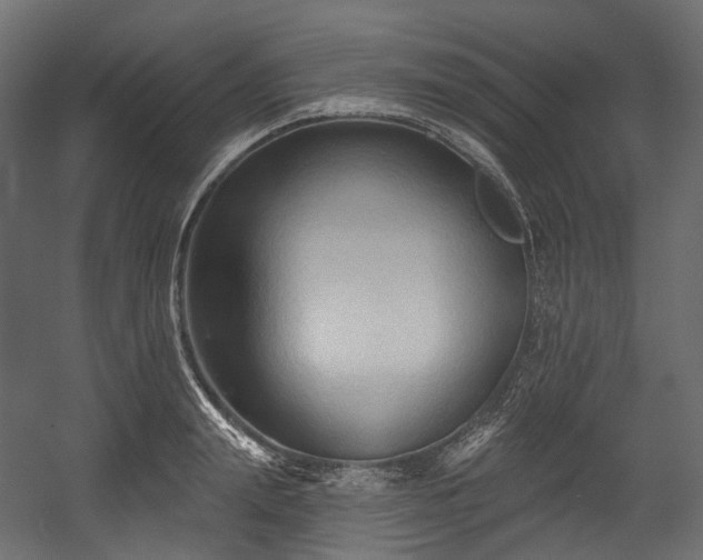 X0000054360847200508011218