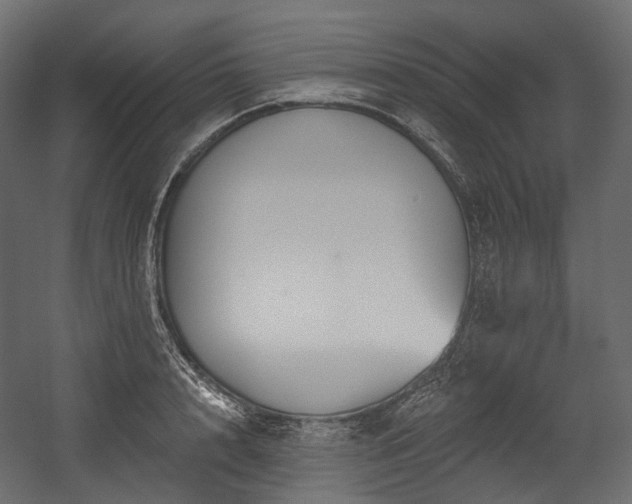 X0000054360848200508011218