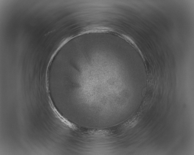 X0000054360851200508011218