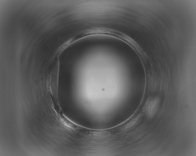 X0000054360857200508011218