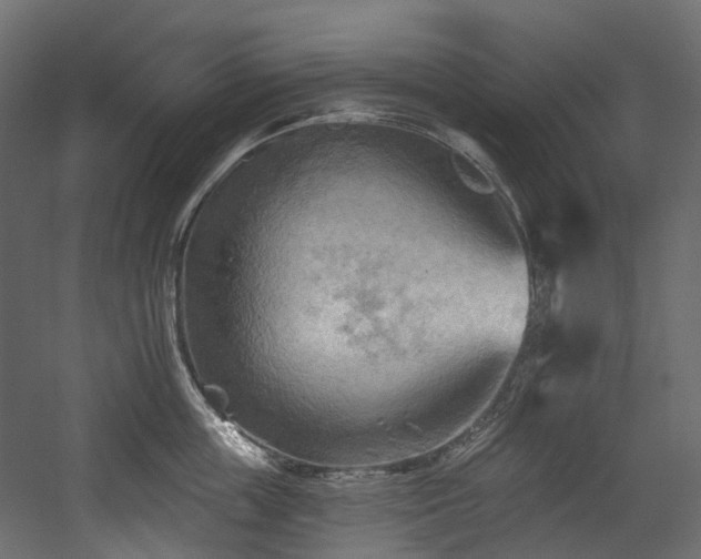 X0000054360859200508011218