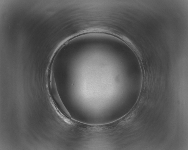 X0000054360862200508011219