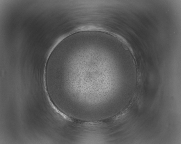 X0000054360863200508011219