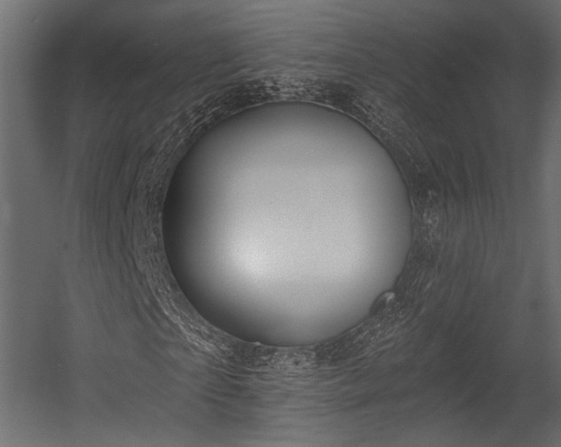 X0000054360865200508011218