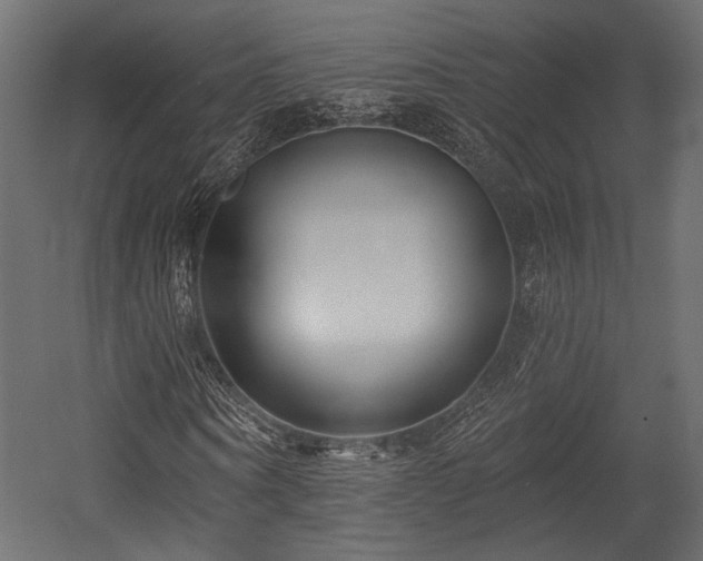 X0000054360866200508011218