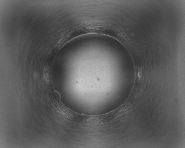 X0000054360867200508011218
