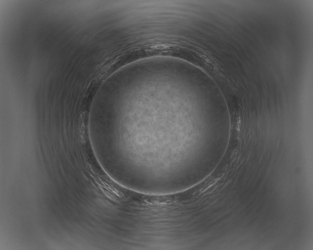 X0000054360868200508011218