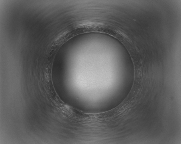 X0000054360869200508011218