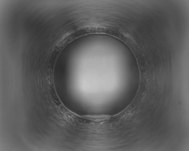 X0000054360870200508011218