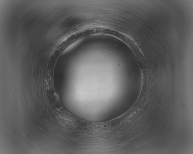 X0000054360871200508011218