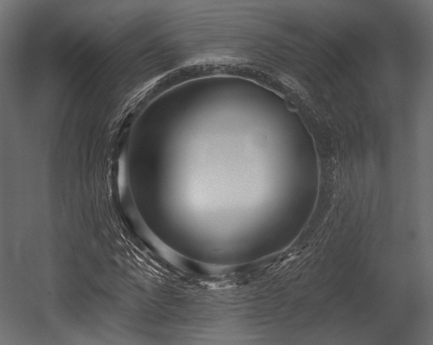 X0000054360872200508011218