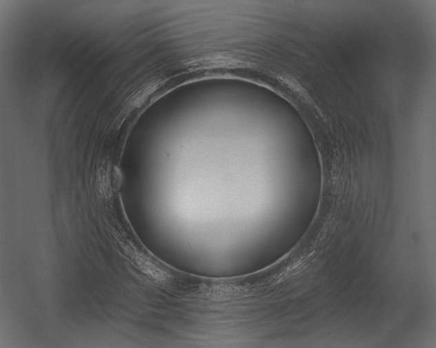 X0000054360873200508011218