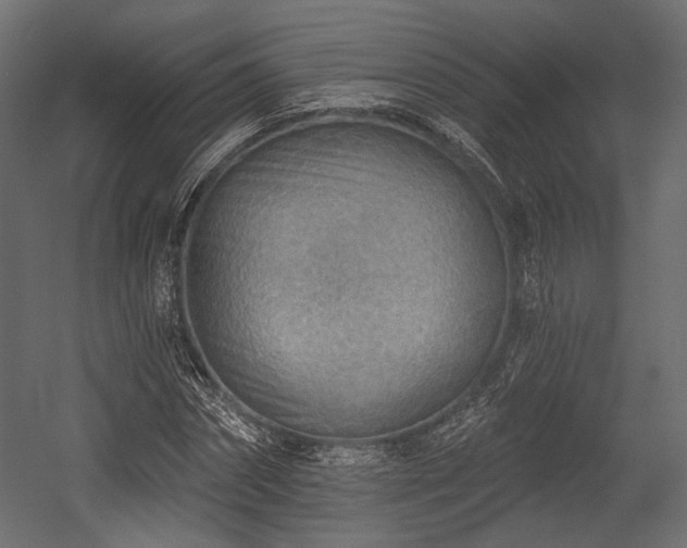 X0000054360874200508011218