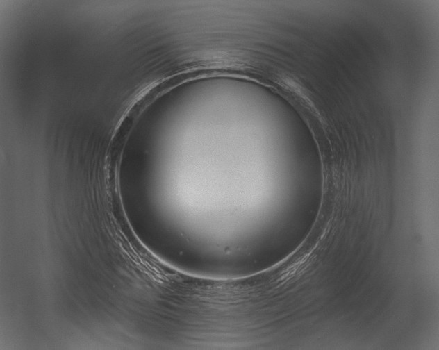 X0000054360875200508011218