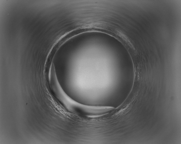 X0000054360876200508011218