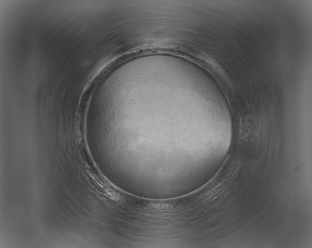 X0000054360878200508011218