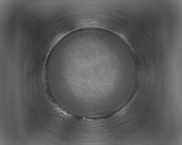 X0000054360879200508011217
