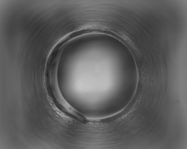 X0000054360880200508011217