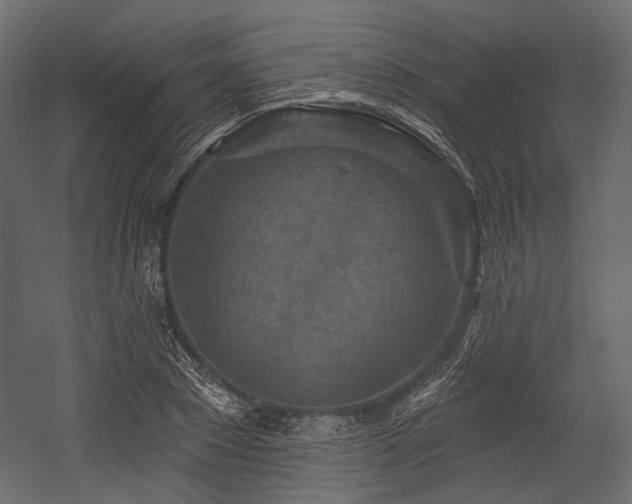 X0000054360881200508011217