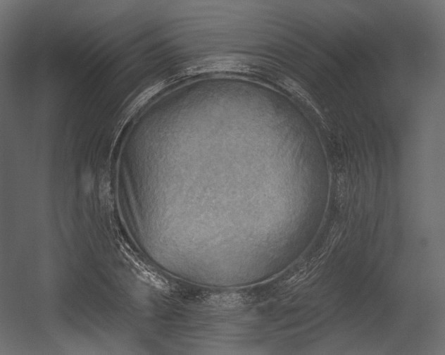 X0000054360882200508011217