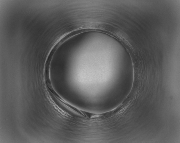 X0000054360884200508011217