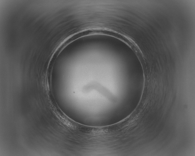 X0000054360887200508011217
