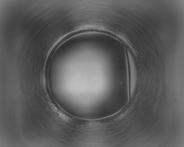 X0000054360888200508011217
