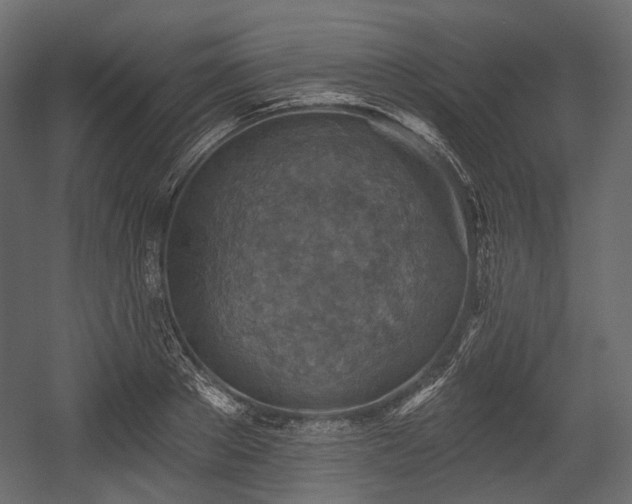 X0000054360889200508011217